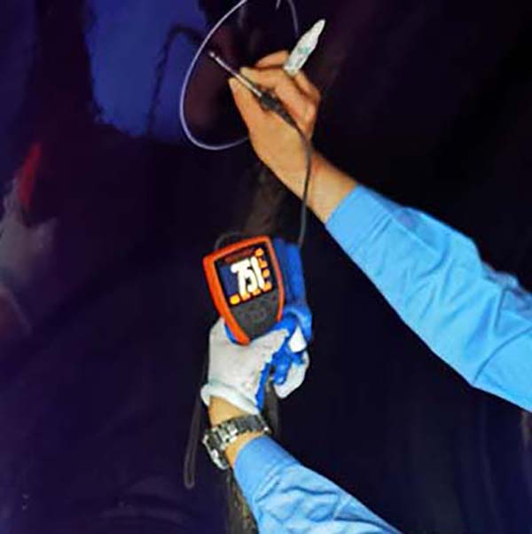 inspection